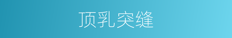 顶乳突缝的同义词