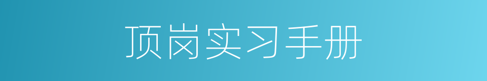 顶岗实习手册的同义词