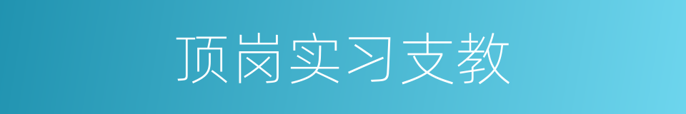 顶岗实习支教的同义词