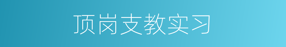 顶岗支教实习的同义词