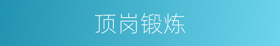 顶岗锻炼的同义词