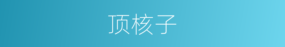 顶核子的同义词