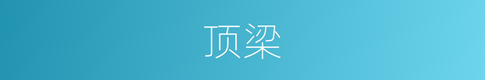 顶梁的意思