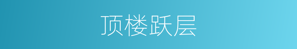 顶楼跃层的同义词