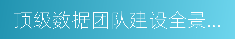 顶级数据团队建设全景报告的同义词