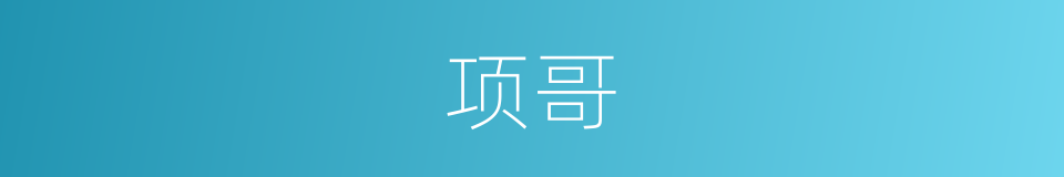 项哥的同义词