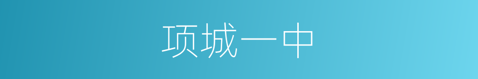 项城一中的同义词
