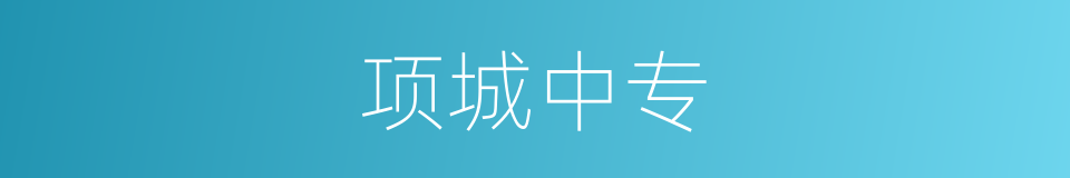 项城中专的同义词