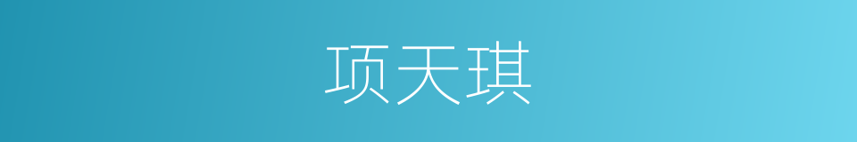 项天琪的同义词