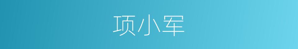 项小军的同义词