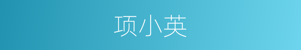 项小英的同义词