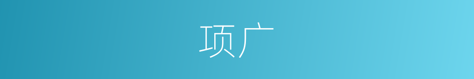 项广的同义词