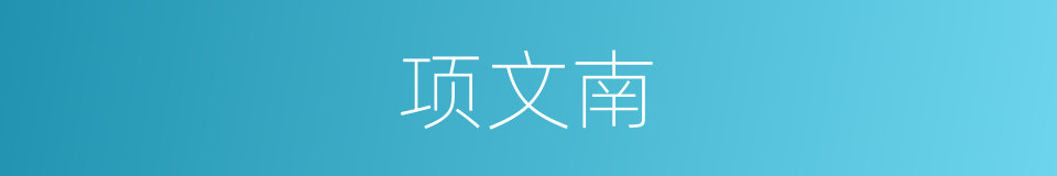项文南的同义词