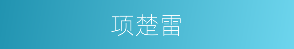 项楚雷的同义词