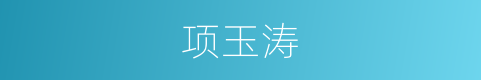 项玉涛的同义词