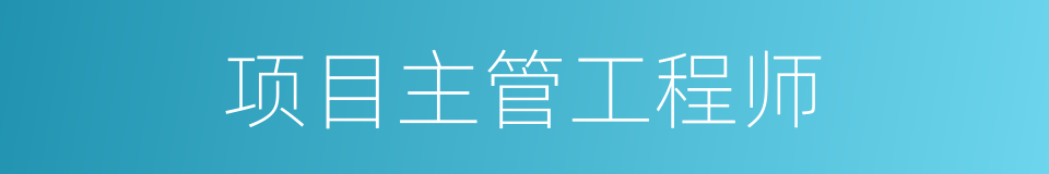 项目主管工程师的同义词