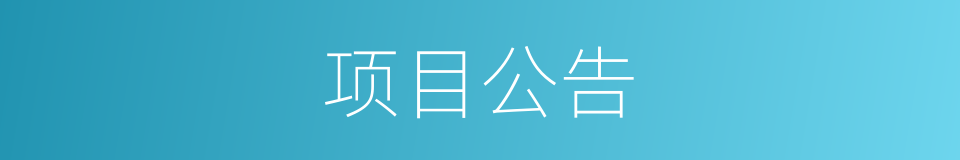 项目公告的同义词