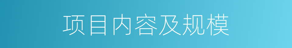 项目内容及规模的同义词