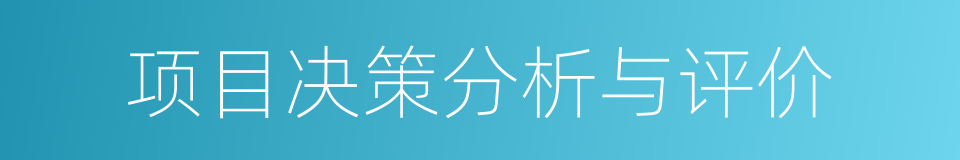 项目决策分析与评价的同义词