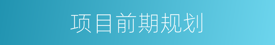 项目前期规划的同义词
