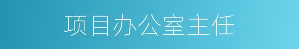 项目办公室主任的同义词