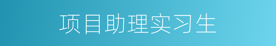 项目助理实习生的同义词