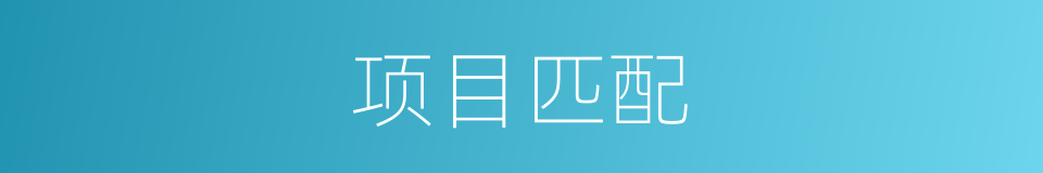 项目匹配的同义词