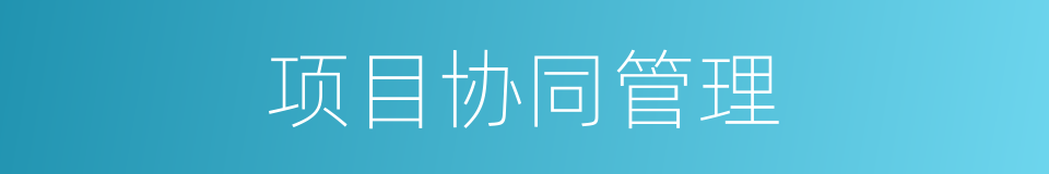 项目协同管理的同义词