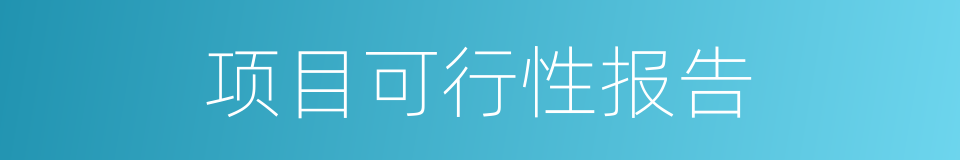 项目可行性报告的同义词