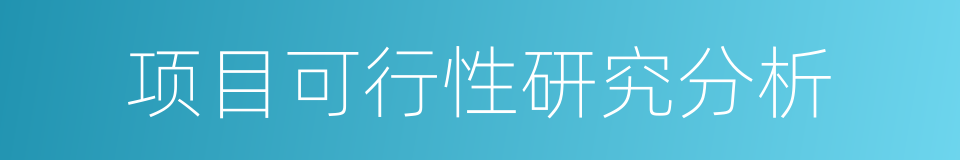 项目可行性研究分析的同义词