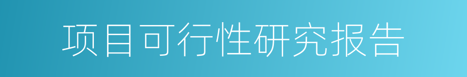 项目可行性研究报告的同义词