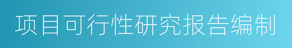 项目可行性研究报告编制的同义词