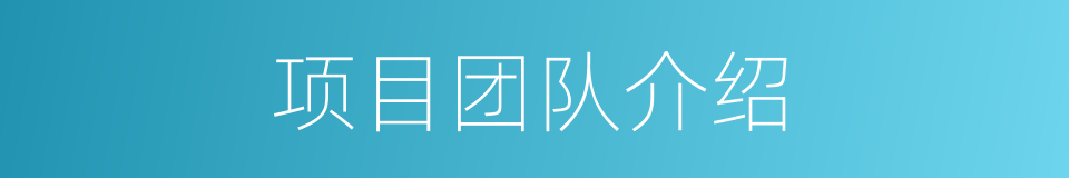 项目团队介绍的同义词