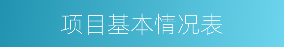 项目基本情况表的同义词