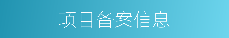 项目备案信息的同义词