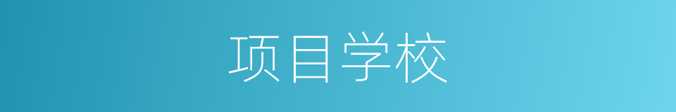 项目学校的同义词