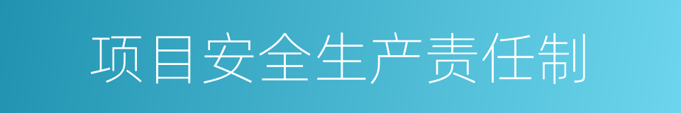 项目安全生产责任制的同义词