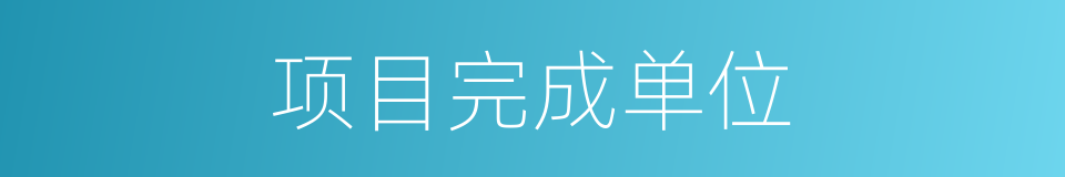 项目完成单位的同义词