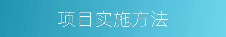项目实施方法的同义词