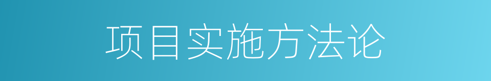 项目实施方法论的同义词