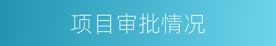 项目审批情况的同义词