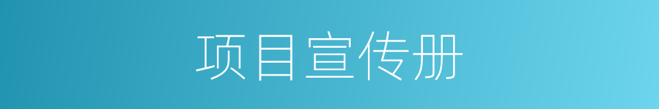 项目宣传册的同义词