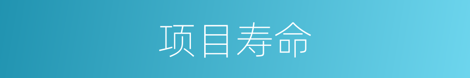 项目寿命的同义词