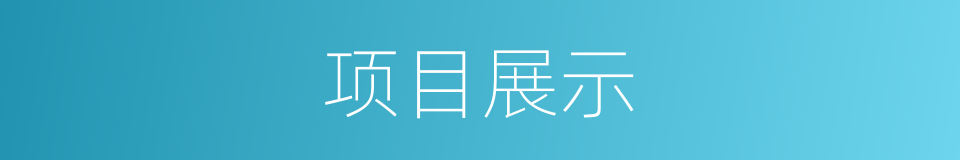 项目展示的同义词