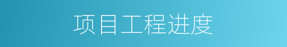 项目工程进度的同义词