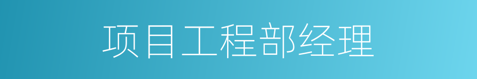 项目工程部经理的同义词