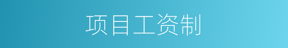 项目工资制的同义词