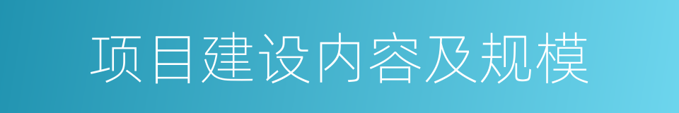 项目建设内容及规模的同义词