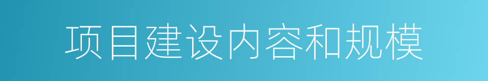 项目建设内容和规模的同义词