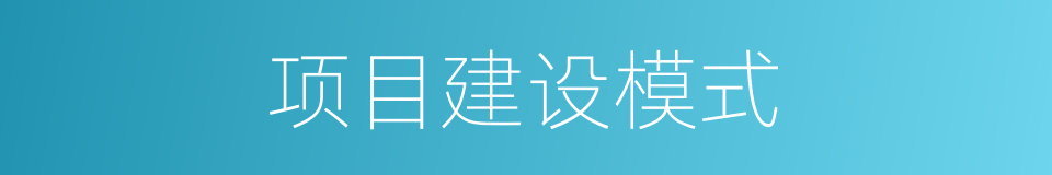 项目建设模式的同义词